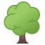 :deciduous_tree: