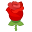 :rose: