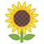:sunflower: