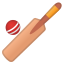 :cricket: