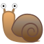 snail