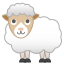 :sheep: