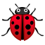 lady_beetle