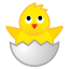 :hatching_chick: