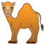 dromedary_camel