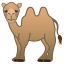 :camel: