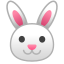 :rabbit: