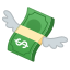 money_with_wings emoji