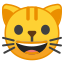 :smiley_cat: