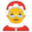 :mrs_claus: