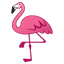:flamingo: