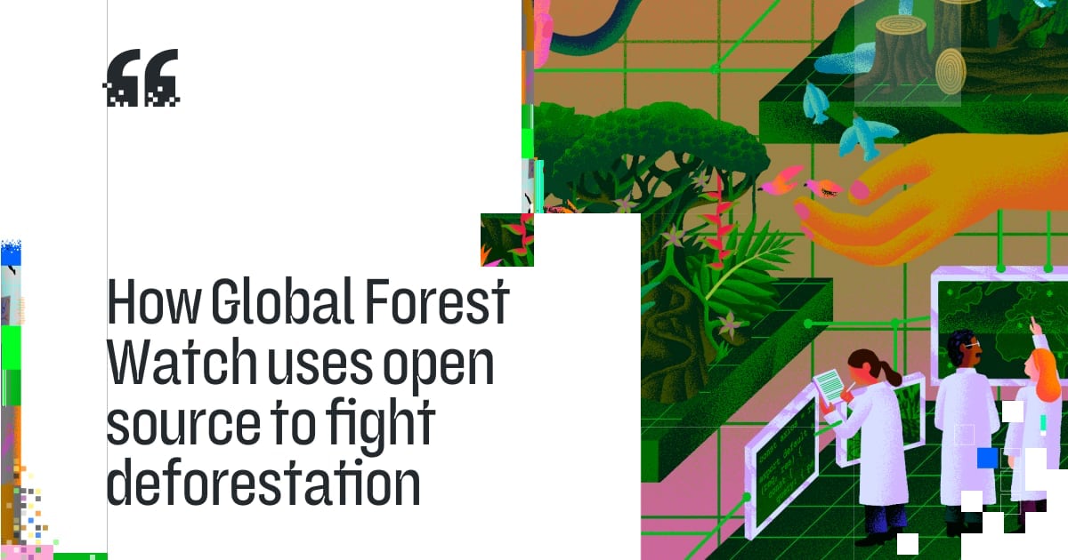 How Global Forest Watch uses open source to fight deforestation · The ReadME Project - Vimarsana News
